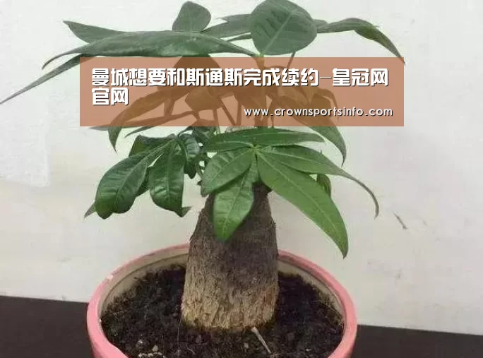 曼城想要和斯通斯完成续约-皇冠网官网(图2) 皇冠网入口