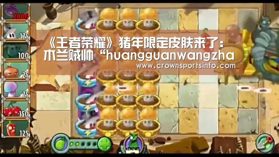 《王者荣耀》猪年限定皮肤来了：木兰贼帅“huangguanwangzhan”(图3)