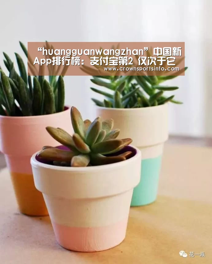 “huangguanwangzhan”中国新App排行榜:支付宝第2 仅次于它(图2) 皇冠网入口
