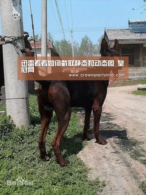 皇冠网